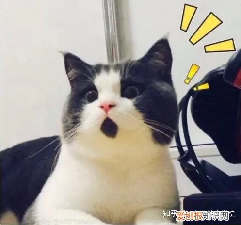 如培养孩子的专注力，从这四个维度，培养孩子的专注力！