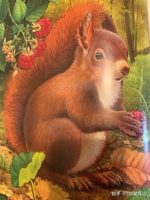 孩子与动物的近距离，带娃近距离了解动物，一起与森林动物面对面