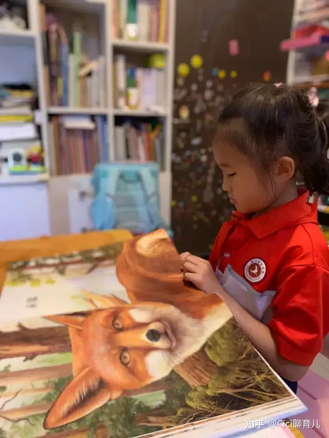 孩子与动物的近距离，带娃近距离了解动物，一起与森林动物面对面