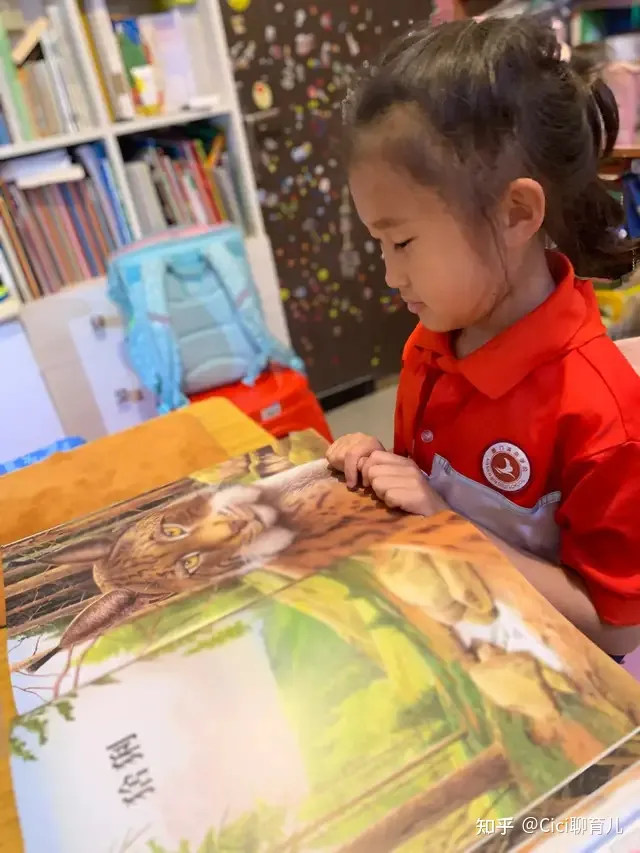 孩子与动物的近距离，带娃近距离了解动物，一起与森林动物面对面