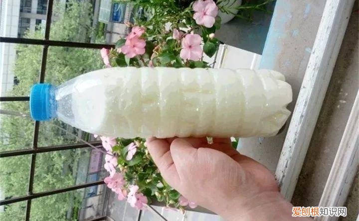 家庭养花技巧与禁忌，3个养花妙招，早学早知道，不用花钱买教训！