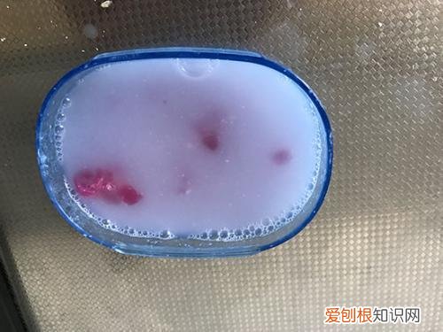 让花叶子更绿的偏方，养花用这5个小妙招，不花一分钱，绿叶长得旺！