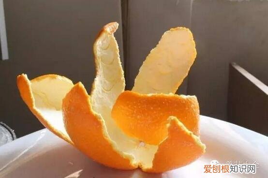 教你养花小技巧,流传于网络的养花妙招大全,真的很管用!