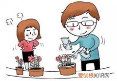 教你养花小技巧，流传于网络的养花妙招大全，真的很管用！