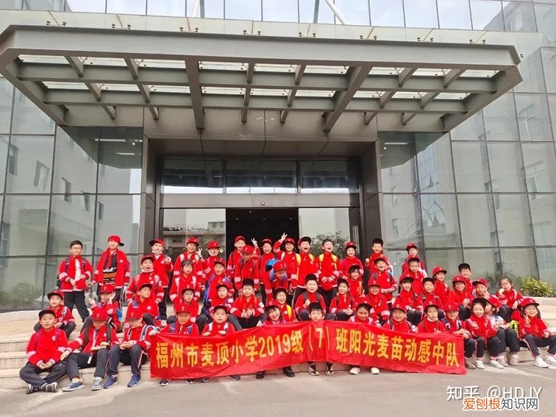 关于爱鸟护鸟的句子有哪些,爱鸟始于心,护鸟在于行!福州麦顶小学鸟类科普研学活动!