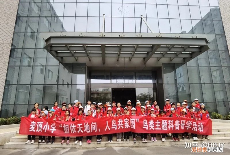 关于爱鸟护鸟的句子有哪些,爱鸟始于心,护鸟在于行!福州麦顶小学鸟类科普研学活动!