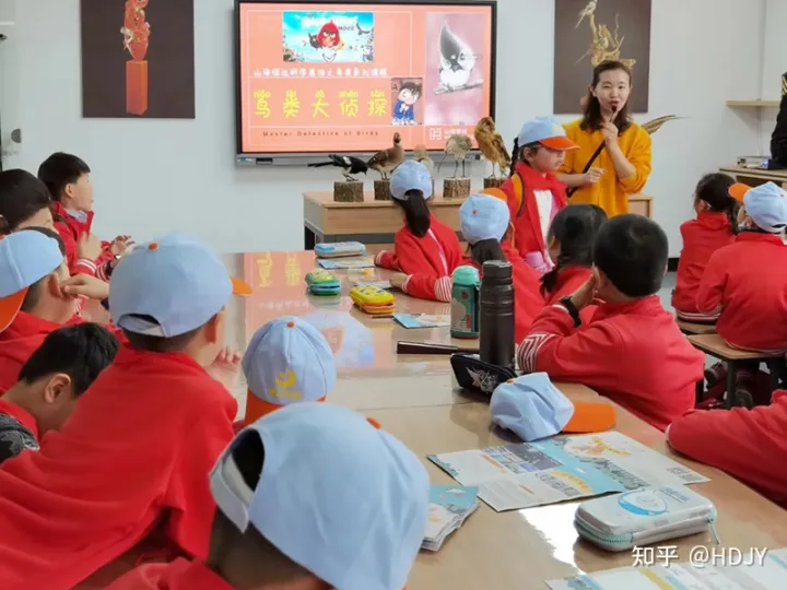 关于爱鸟护鸟的句子有哪些,爱鸟始于心,护鸟在于行!福州麦顶小学鸟类科普研学活动!