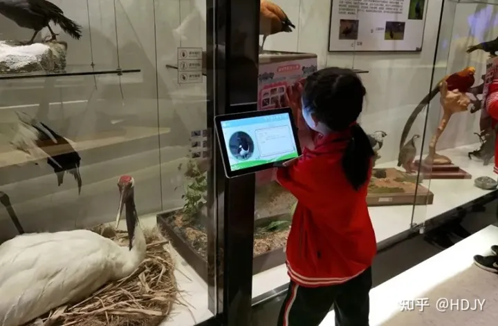 关于爱鸟护鸟的句子有哪些,爱鸟始于心,护鸟在于行!福州麦顶小学鸟类科普研学活动!