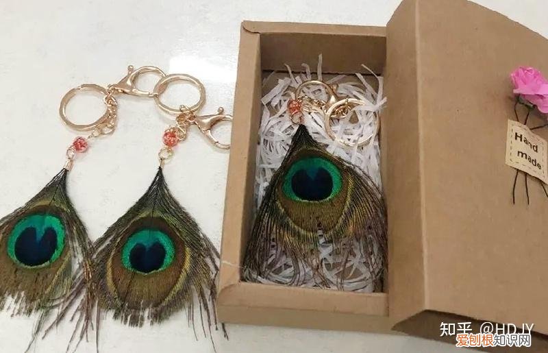 关于爱鸟护鸟的句子有哪些,爱鸟始于心,护鸟在于行!福州麦顶小学鸟类科普研学活动!