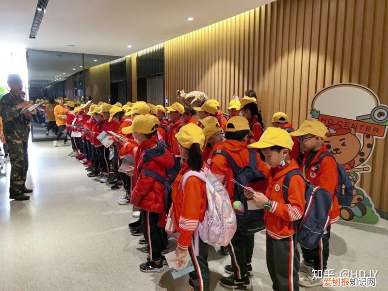 关于爱鸟护鸟的句子有哪些,爱鸟始于心,护鸟在于行!福州麦顶小学鸟类科普研学活动!