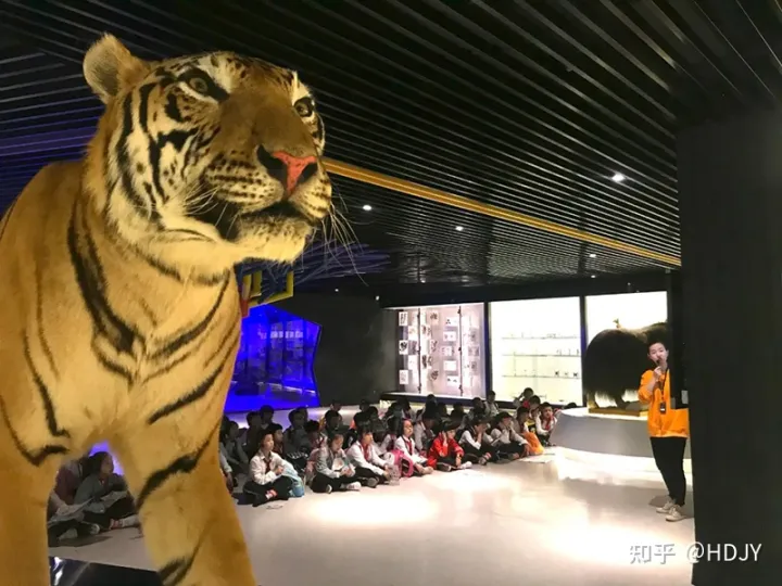 关于爱鸟护鸟的句子有哪些,爱鸟始于心,护鸟在于行!福州麦顶小学鸟类科普研学活动!