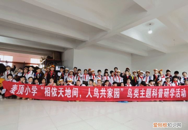 关于爱鸟护鸟的句子有哪些,爱鸟始于心,护鸟在于行!福州麦顶小学鸟类科普研学活动!