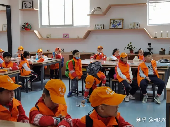 关于爱鸟护鸟的句子有哪些,爱鸟始于心,护鸟在于行!福州麦顶小学鸟类科普研学活动!