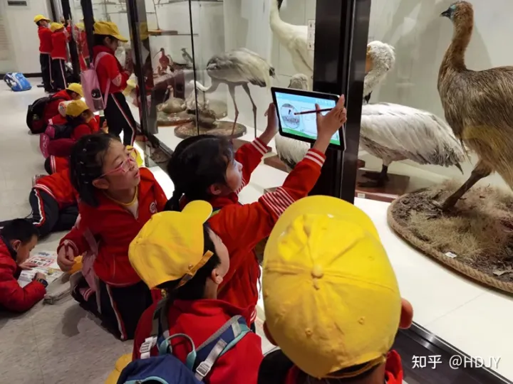 关于爱鸟护鸟的句子有哪些,爱鸟始于心,护鸟在于行!福州麦顶小学鸟类科普研学活动!