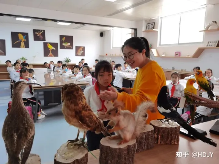 关于爱鸟护鸟的句子有哪些,爱鸟始于心,护鸟在于行!福州麦顶小学鸟类科普研学活动!