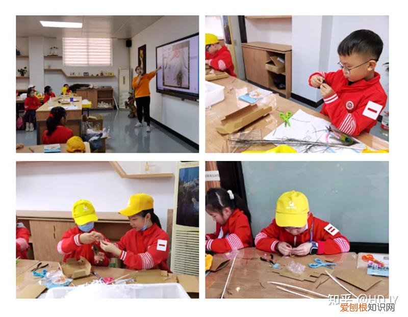 关于爱鸟护鸟的句子有哪些,爱鸟始于心,护鸟在于行!福州麦顶小学鸟类科普研学活动!