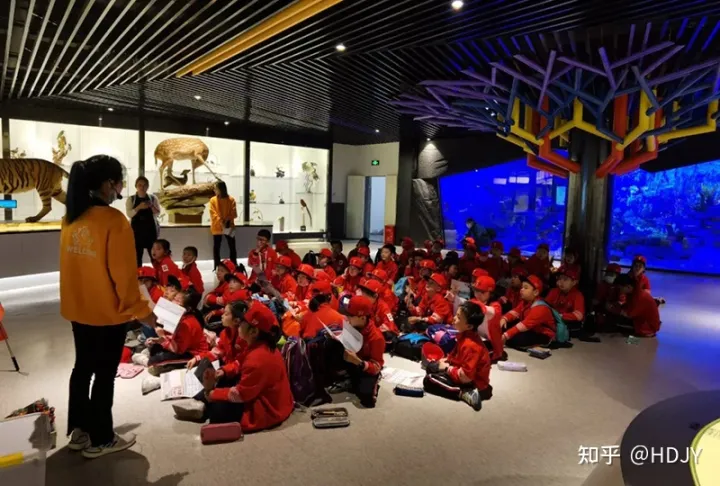 关于爱鸟护鸟的句子有哪些,爱鸟始于心,护鸟在于行!福州麦顶小学鸟类科普研学活动!