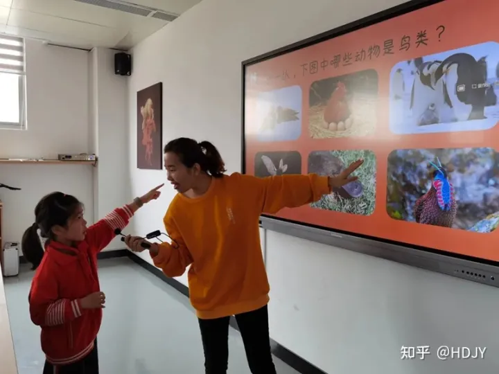 关于爱鸟护鸟的句子有哪些,爱鸟始于心,护鸟在于行!福州麦顶小学鸟类科普研学活动!