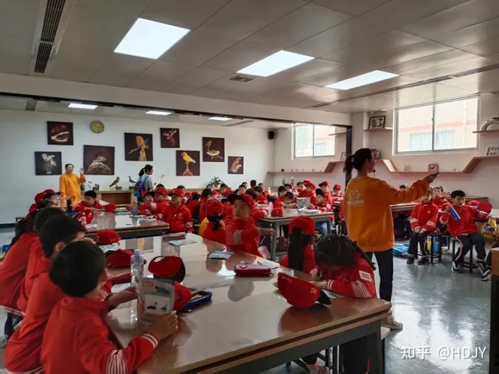 关于爱鸟护鸟的句子有哪些,爱鸟始于心,护鸟在于行!福州麦顶小学鸟类科普研学活动!