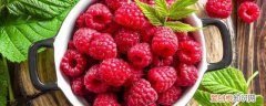 树莓的功效与作用吃法 吃树莓的功效和好处