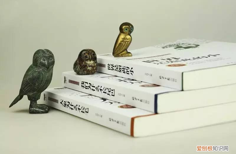 猫头鹰在科学上是什么动物?为什么?,科学猫头鹰“精品科普读物漂流进校园”捐赠方案