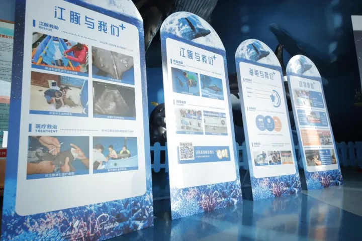 天津野生动物保护中心地址，2021天津水生野生动物保护科普宣传月活动在天津海昌启动