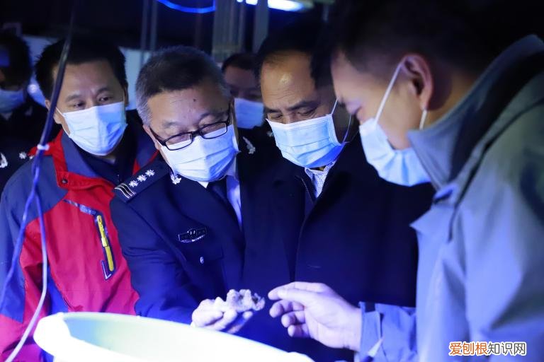 天津野生动物保护中心地址，2021天津水生野生动物保护科普宣传月活动在天津海昌启动