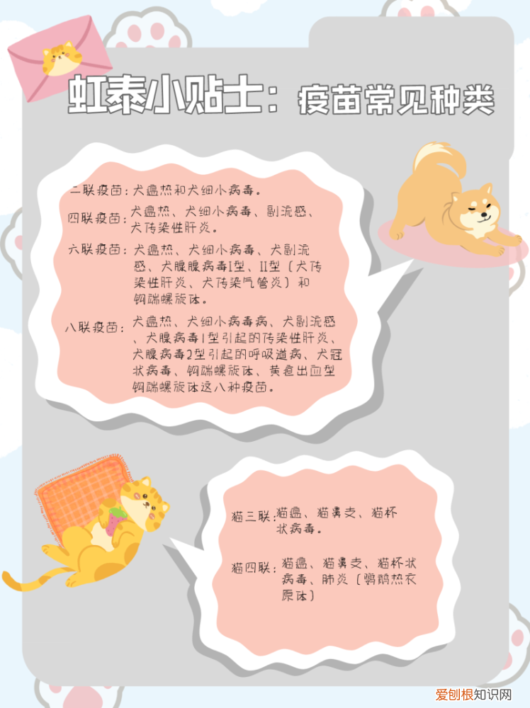 杭州市虹泰宠物医院，杭州虹泰宠物医院科普｜宠物接种疫苗百科全书