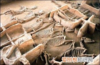 中国古代地理文学常识，了解古代文化，从天文到地理，衣食到住行，读懂这一本书就够了