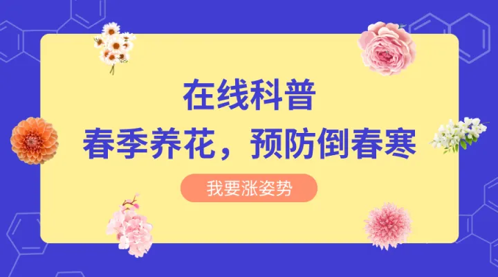 什么花适合秋冬季节养，新手必知丨春夏秋冬，四季养花要点