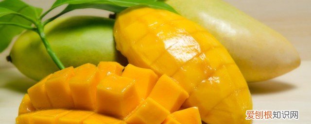 减肥期间吃芒果可以吗会不会影响减肥 减肥能吃芒果吗《芒果能不能在减肥期间吃》