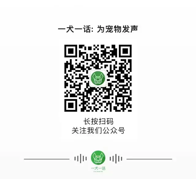 夏天热狗狗怎么散热，夏天太热给狗狗做个美容？你需要知道这些…