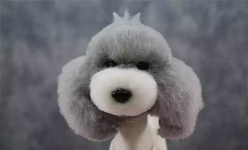 夏天热狗狗怎么散热，夏天太热给狗狗做个美容？你需要知道这些…