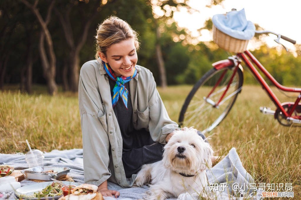 训犬师收入怎么样知乎，训练1只狗收费上万？宠物学校那么赚钱，为什么很少有人开？