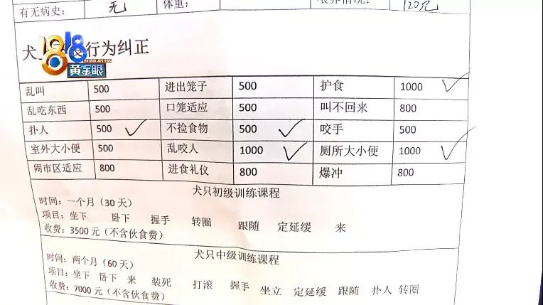 训狗狗哭了，训犬学校里出意外，“乐乐汪”说态度积极