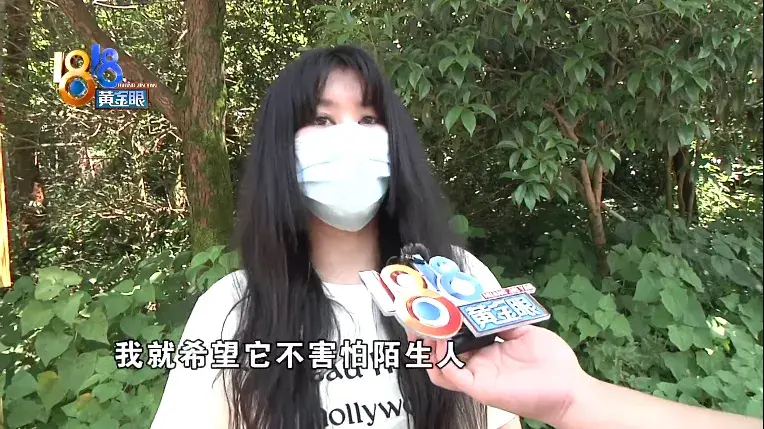 训狗狗哭了，训犬学校里出意外，“乐乐汪”说态度积极