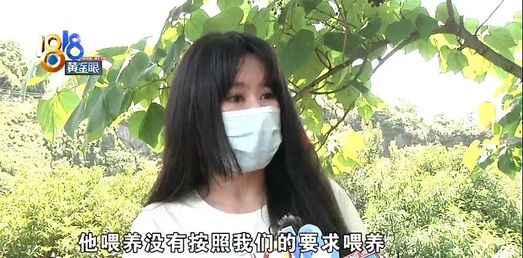 训狗狗哭了，训犬学校里出意外，“乐乐汪”说态度积极