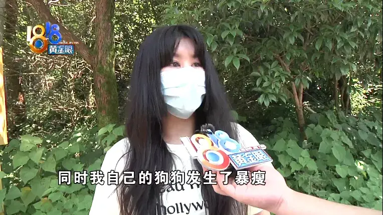 训狗狗哭了，训犬学校里出意外，“乐乐汪”说态度积极