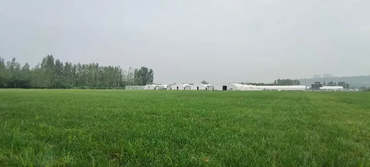 西安狗狗培训学校有哪些，西安宠物狗训练学校，让你的宠物狗与众不同！