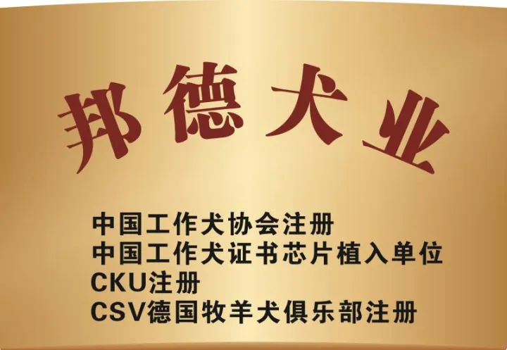 西安狗狗培训学校有哪些，西安宠物狗训练学校，让你的宠物狗与众不同！