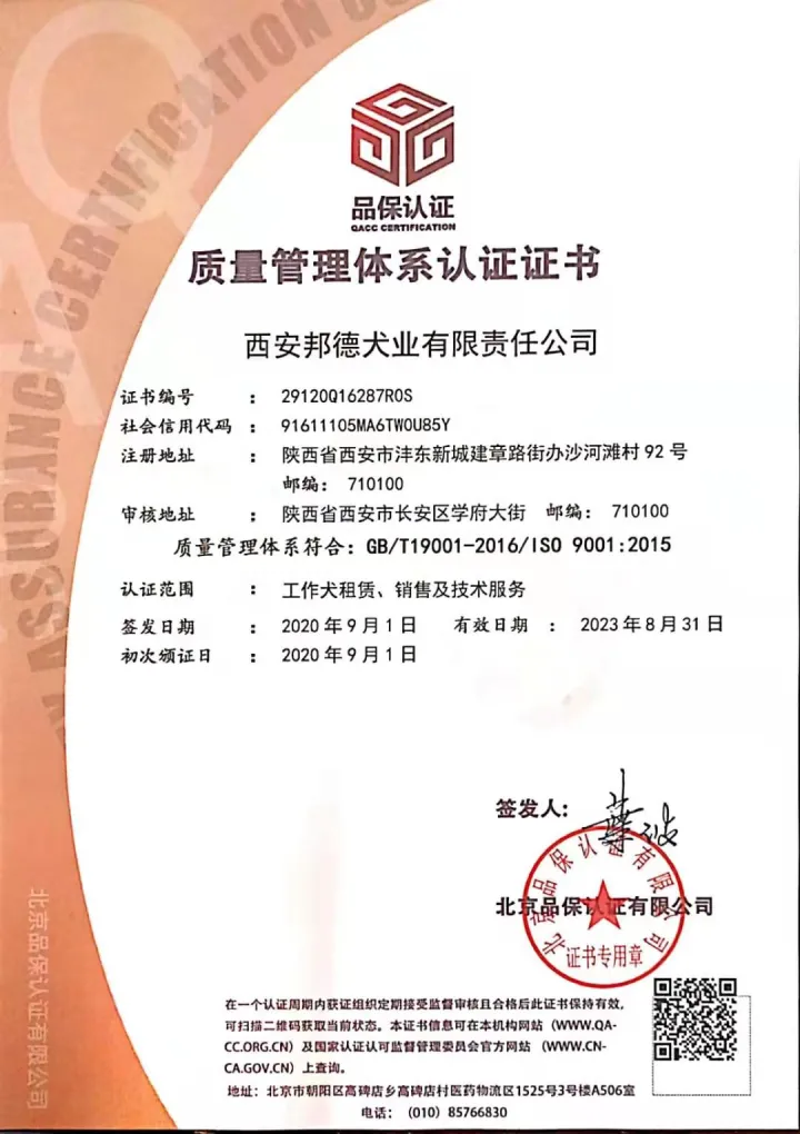 西安狗狗培训学校有哪些，西安宠物狗训练学校，让你的宠物狗与众不同！