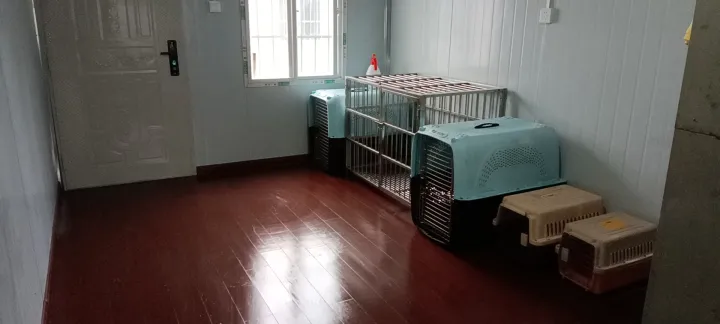 西安狗狗培训学校有哪些，西安宠物狗训练学校，让你的宠物狗与众不同！