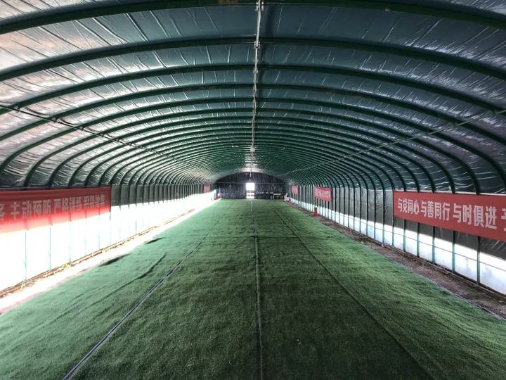 西安狗狗培训学校有哪些，西安宠物狗训练学校，让你的宠物狗与众不同！