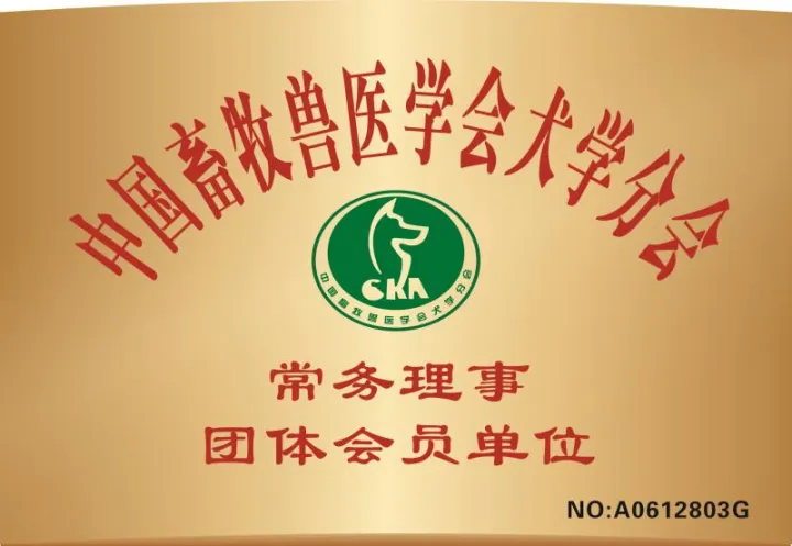 西安狗狗培训学校有哪些，西安宠物狗训练学校，让你的宠物狗与众不同！