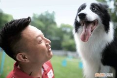 新360行｜宠物训练师：既要训练狗更要培训主人