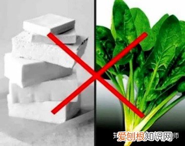 生活小常识这些小常识怎么写作文，有哪些必须知道的生活小常识？