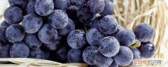 减肥可以吃葡萄吗吗 减肥能吃葡萄吗《减肥能不能吃葡萄》
