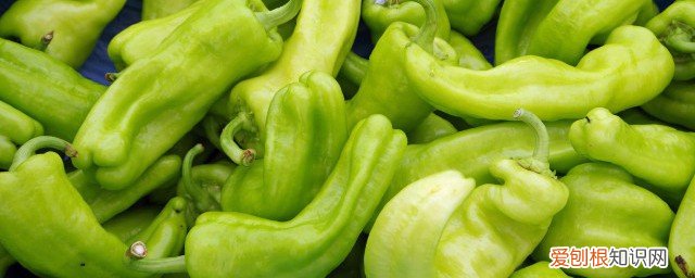 减肥中能吃辣椒吗 减肥能吃辣椒吗《减肥可以吃辣椒的原因分析》