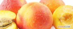 吃油桃可以减肥吗 减肥能吃油桃吗《减肥能不能吃油桃》