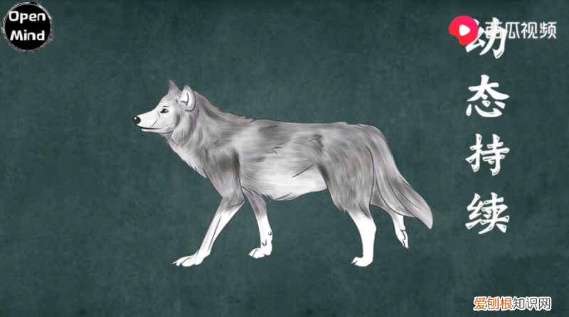狗是不是由狼进化而来的，狗的祖先都是东亚狼！西瓜视频上的他带你一步了解狗的进化史